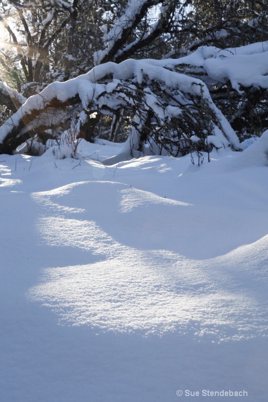 First Rays on Snow, Ashland, Oregon - ID: 12644646 © Sue P. Stendebach