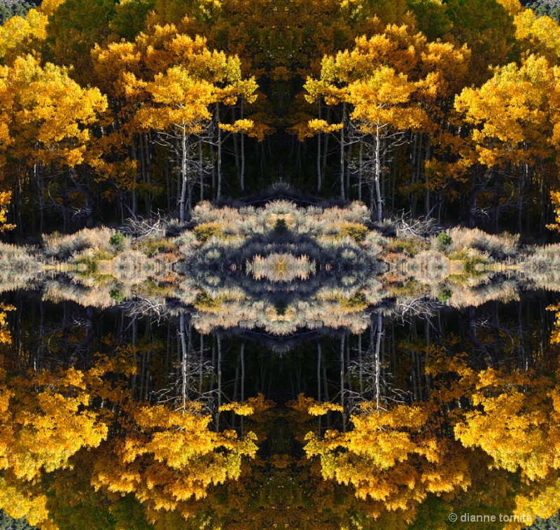 resized mirrored trees 72