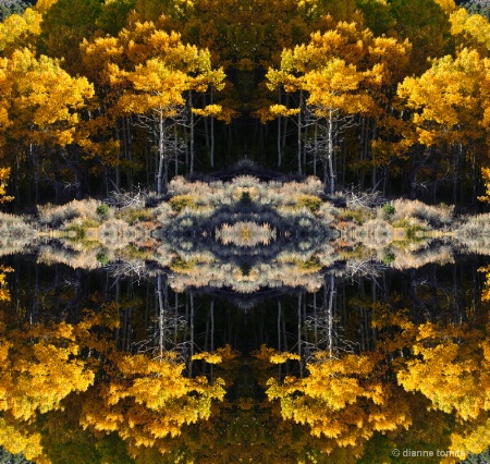 resized mirrored trees 72