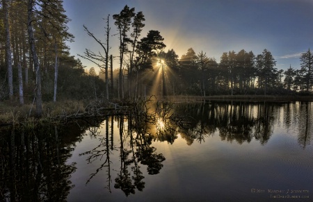 Misty Afternoon