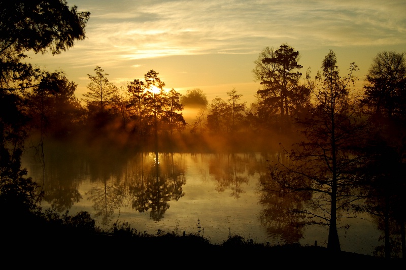 Welcome to vickigilbreathphotography.com