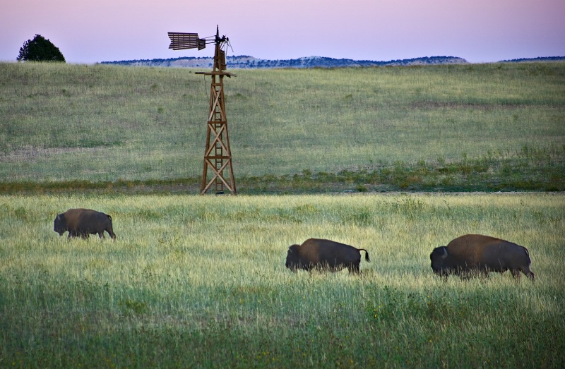 Buffalo Mountain Ranch