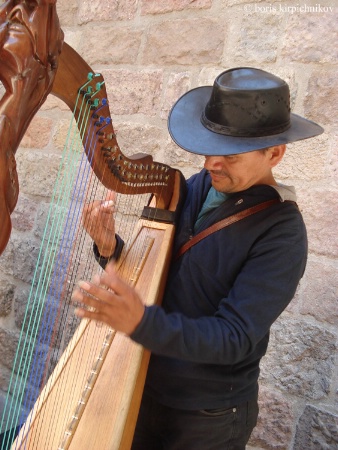 The Photo Contest 2nd Place Winner - harpist