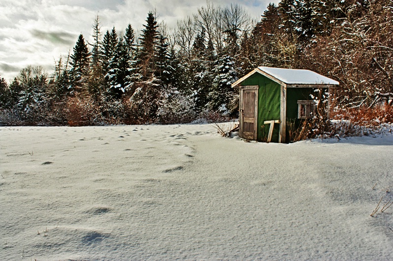 Winter Shed