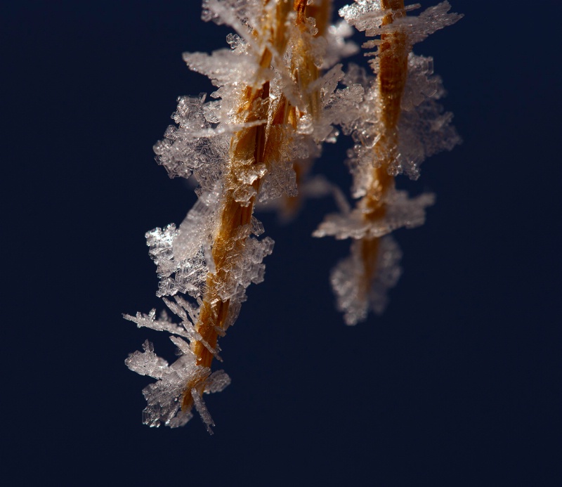 Nature's Crystal Collection - ID: 12647973 © Sharon L. Langfeldt