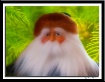 Santa Retired