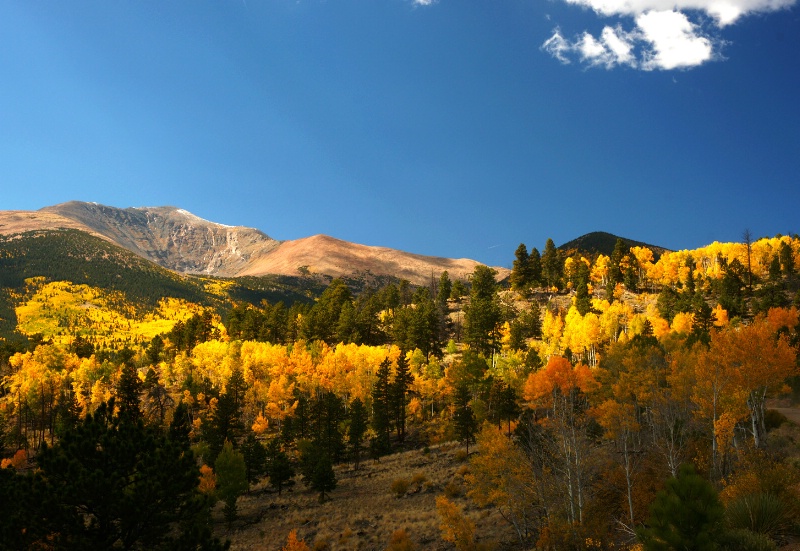 Colorful Colorado!! - ID: 12649690 © Sharon L. Langfeldt