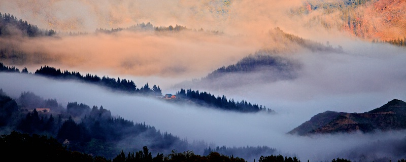 Early morning mist in Marlborough