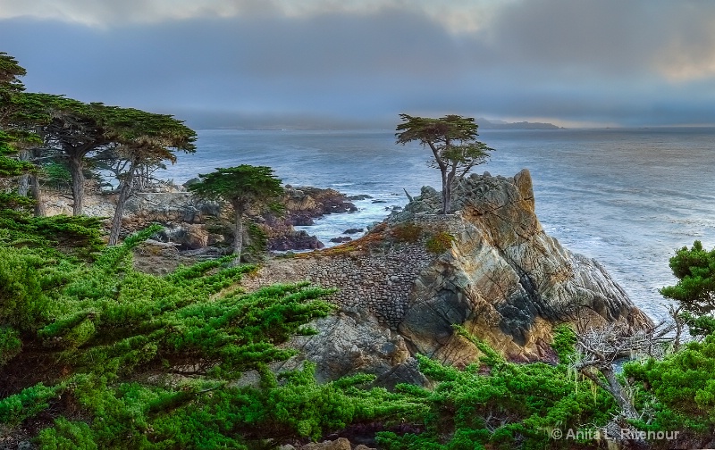 Monterey Icon