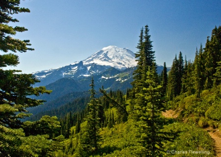 Alpine Trail, Mt Rainier