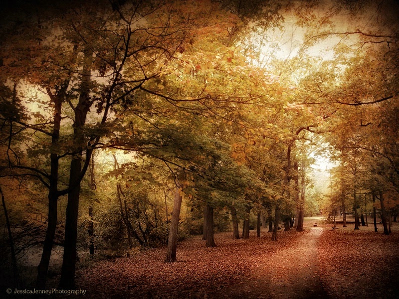 Autumn Corridor