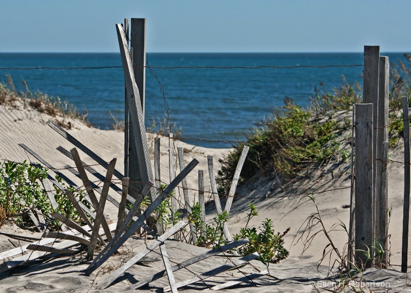 do not walk on dunes