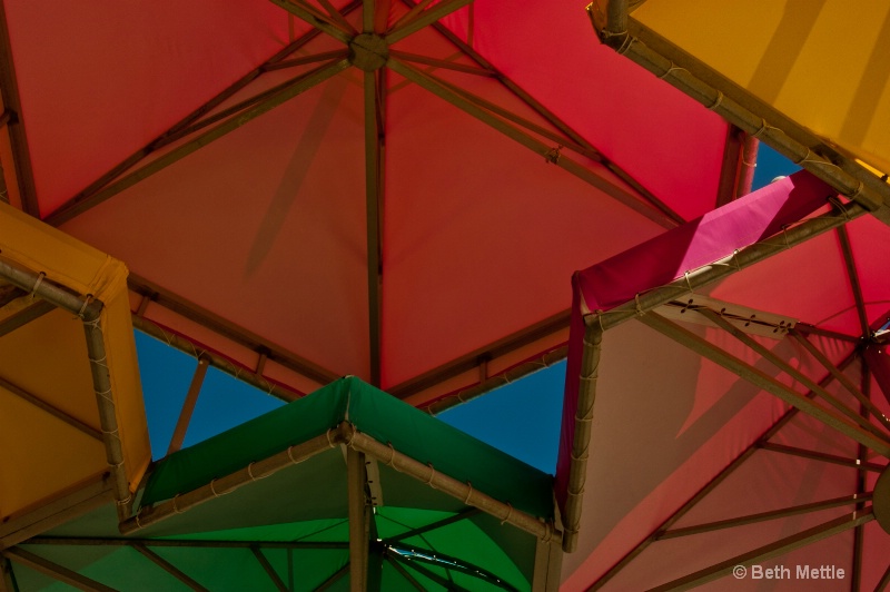Umbrella Canopy