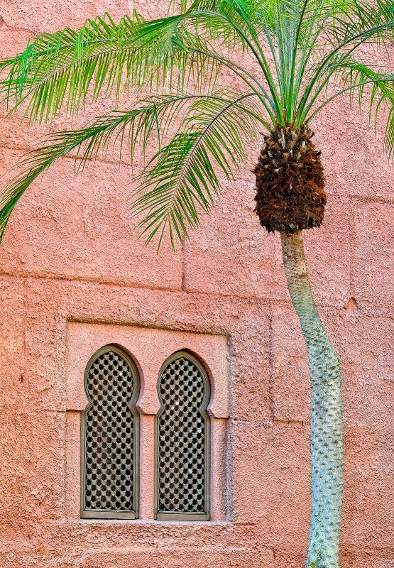 Moroccan Window - ID: 12661169 © Carol Eade