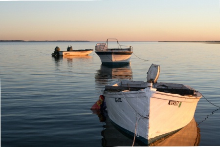 Oyster Fleet at Rest