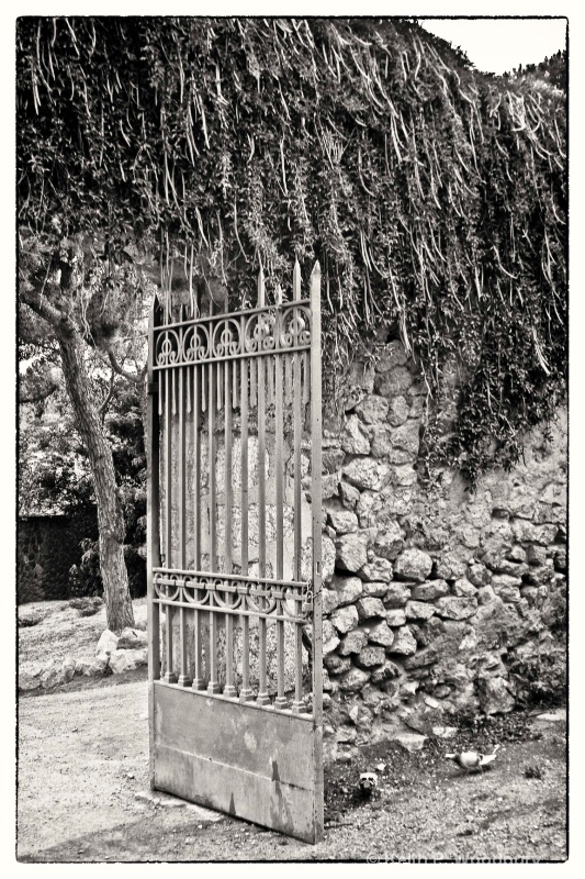 barcelona gate