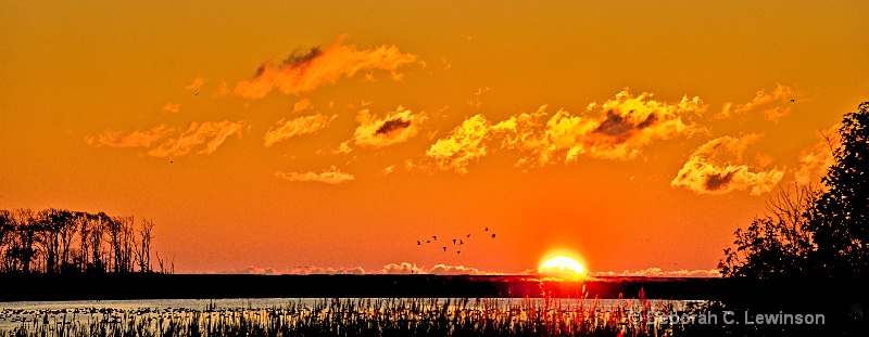 Sunrise Panorama - ID: 12679522 © Deborah C. Lewinson