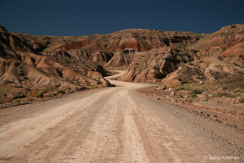 Road to Nazilini, Navajo Nation, AZ