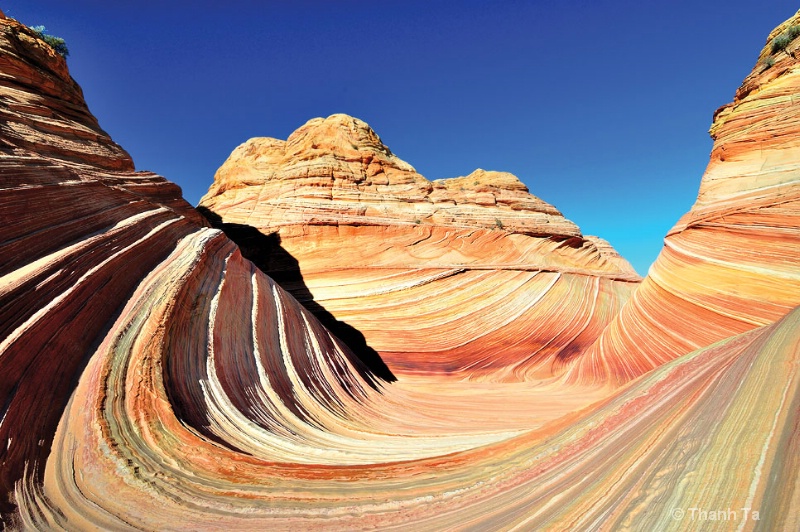 The Wave of Coyote Buttes