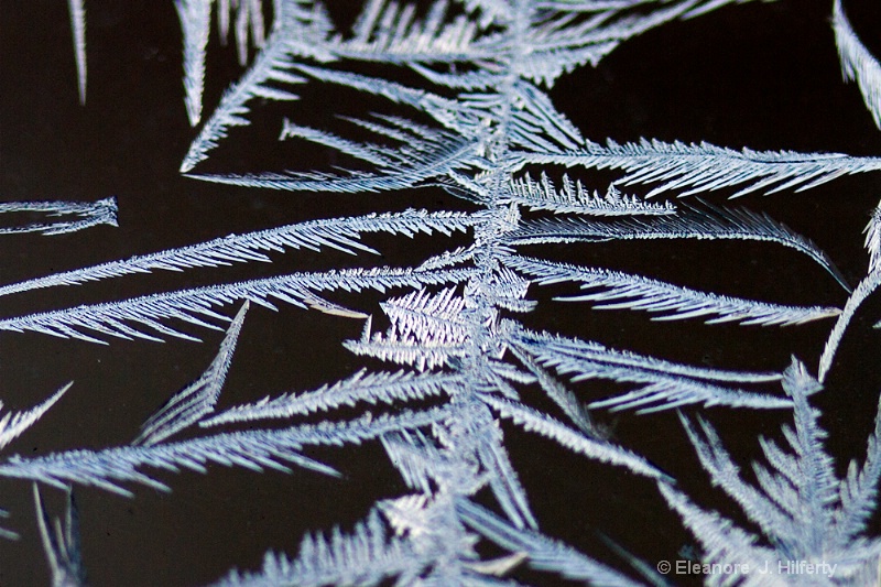 Window frost - ID: 12683545 © Eleanore J. Hilferty