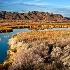 © Patricia A. Casey PhotoID # 12684263: Colorado River Backwater