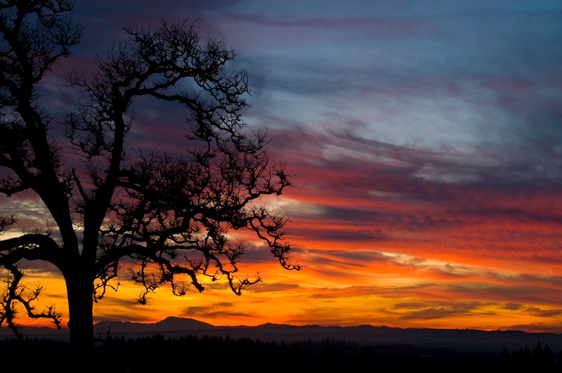 Sublimity, Oregon Sunset - ID: 12684338 © Denny E. Barnes