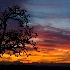 © Denny E. Barnes PhotoID# 12684338: Sublimity, Oregon Sunset