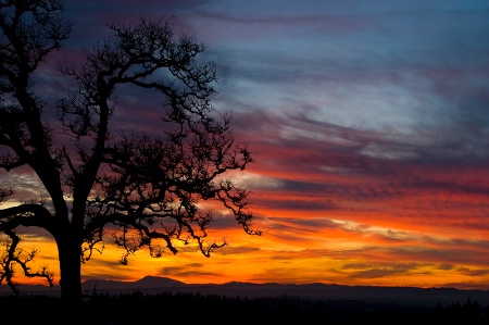 Sublimity, Oregon Sunset