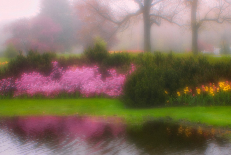 Flowers and Fog Expressionism