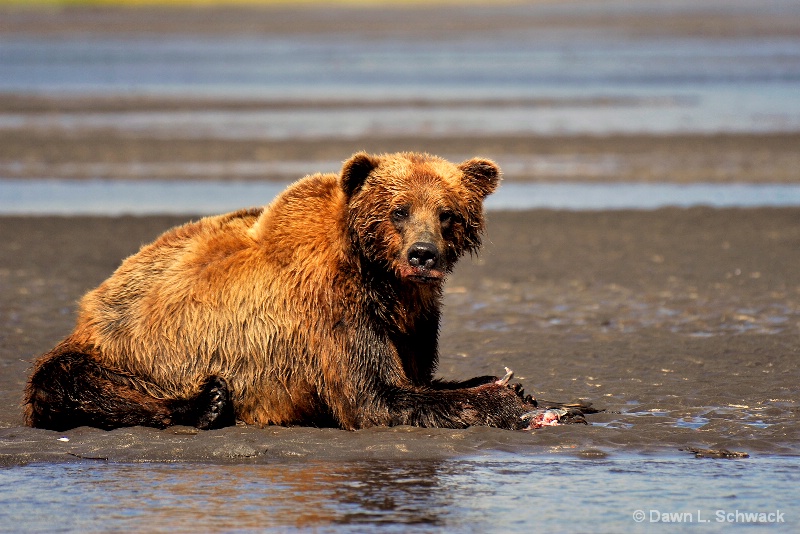 Lunch Break 2 - ID: 12690556 © Dawn Schwack