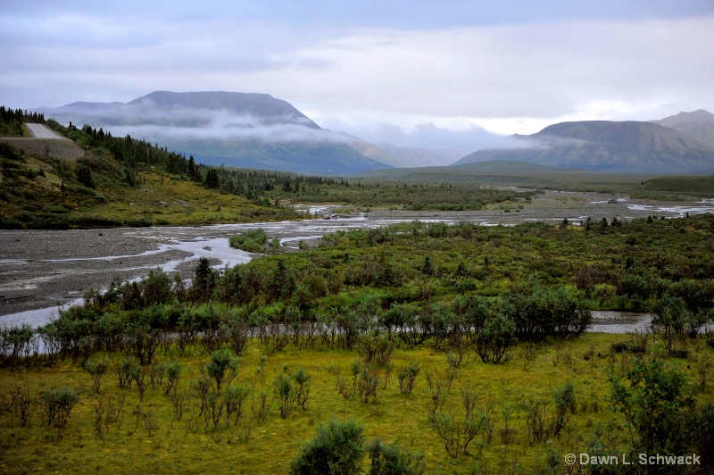 Savage River - ID: 12690557 © Dawn Schwack