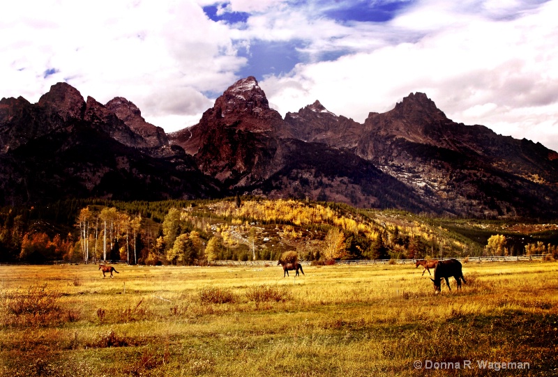 The Grand Old Tetons