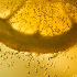 2yellow and bubbly - ID: 12692638 © Stefania Barbier