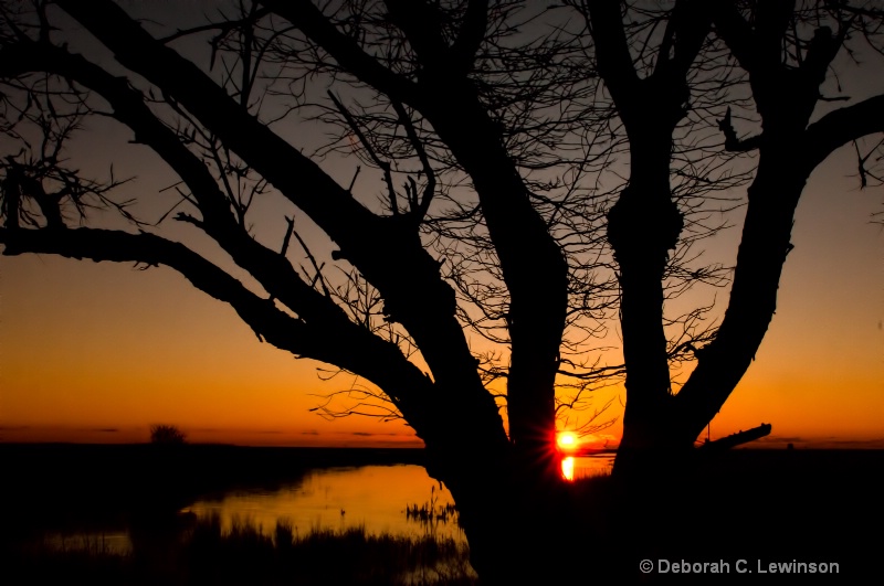 January Sunrise - ID: 12694021 © Deborah C. Lewinson