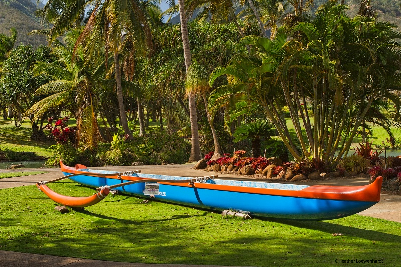 The Maui Paddler