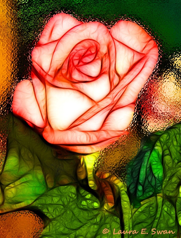 The Rose