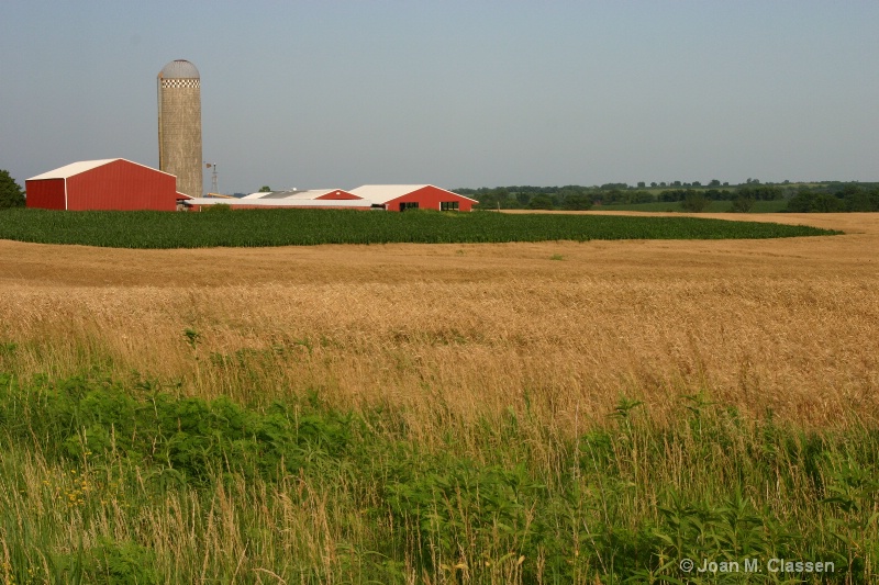 Farmstead 