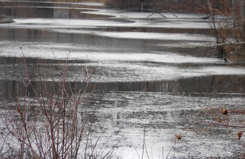 Junkyard Pond Ice