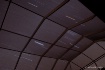 Light Speed  
