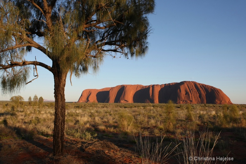 Ayers Rock / Uluru at sunrise