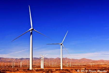 Desert Wind Farm 