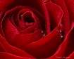  Deep Within........