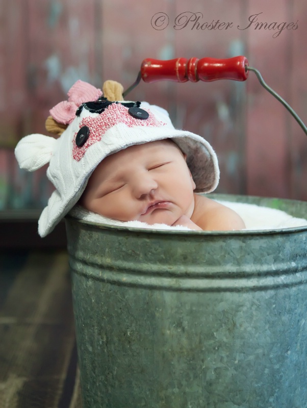 Baby in a Bucket