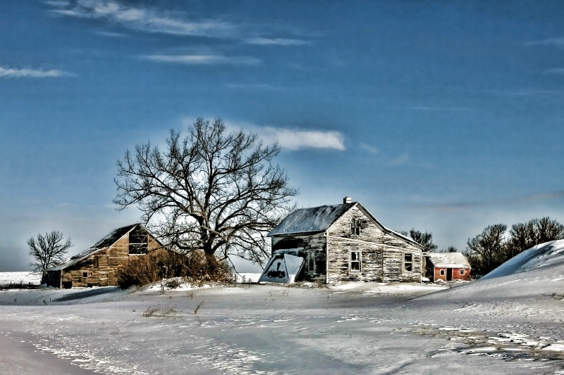 Prairie Winter