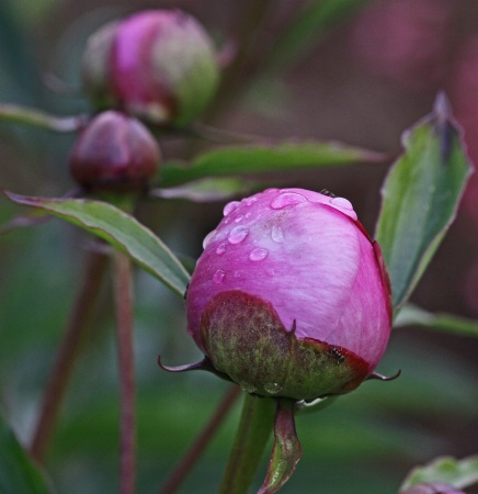 raindrops falling on my head