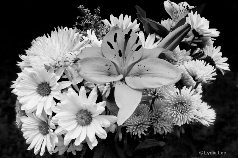 Bouquet in Black and White - ID: 12715196 © Lydia Lee