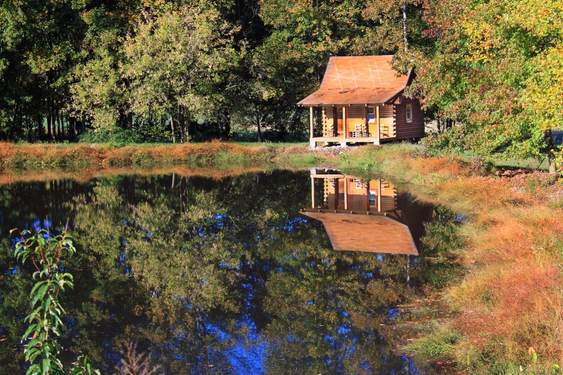 Cabin on the Lake