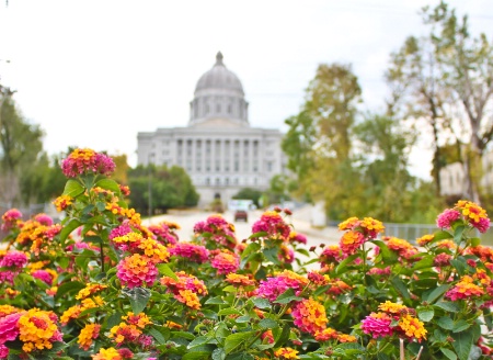 ~Lantanas @ Missouri State Capital~