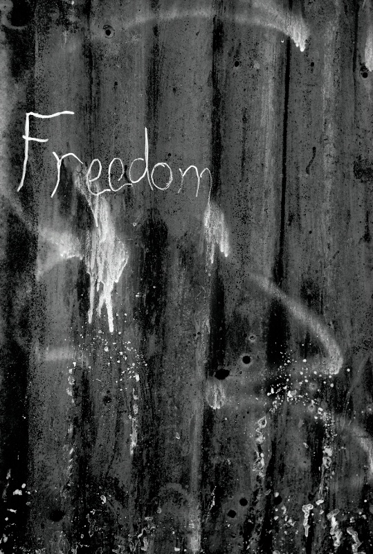 Freedom.... From or To? - ID: 12719642 © Sharon L. Langfeldt