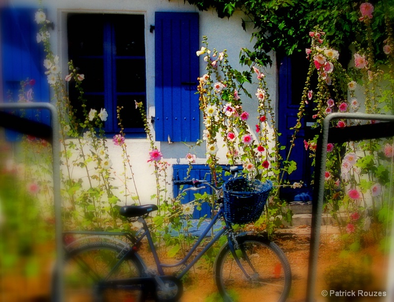 Bike & Hollyhocks